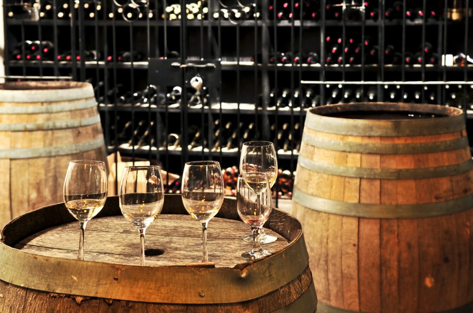 5 things to do on a wine tour