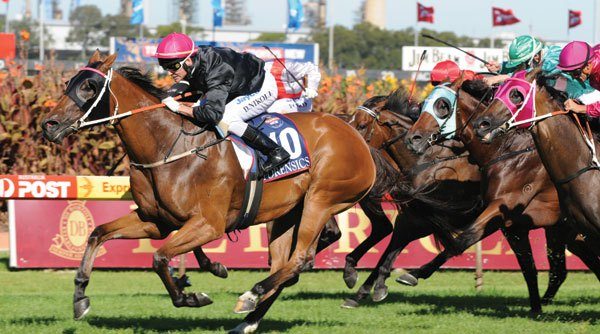 Wine & Racing – Thoroughbred Tours