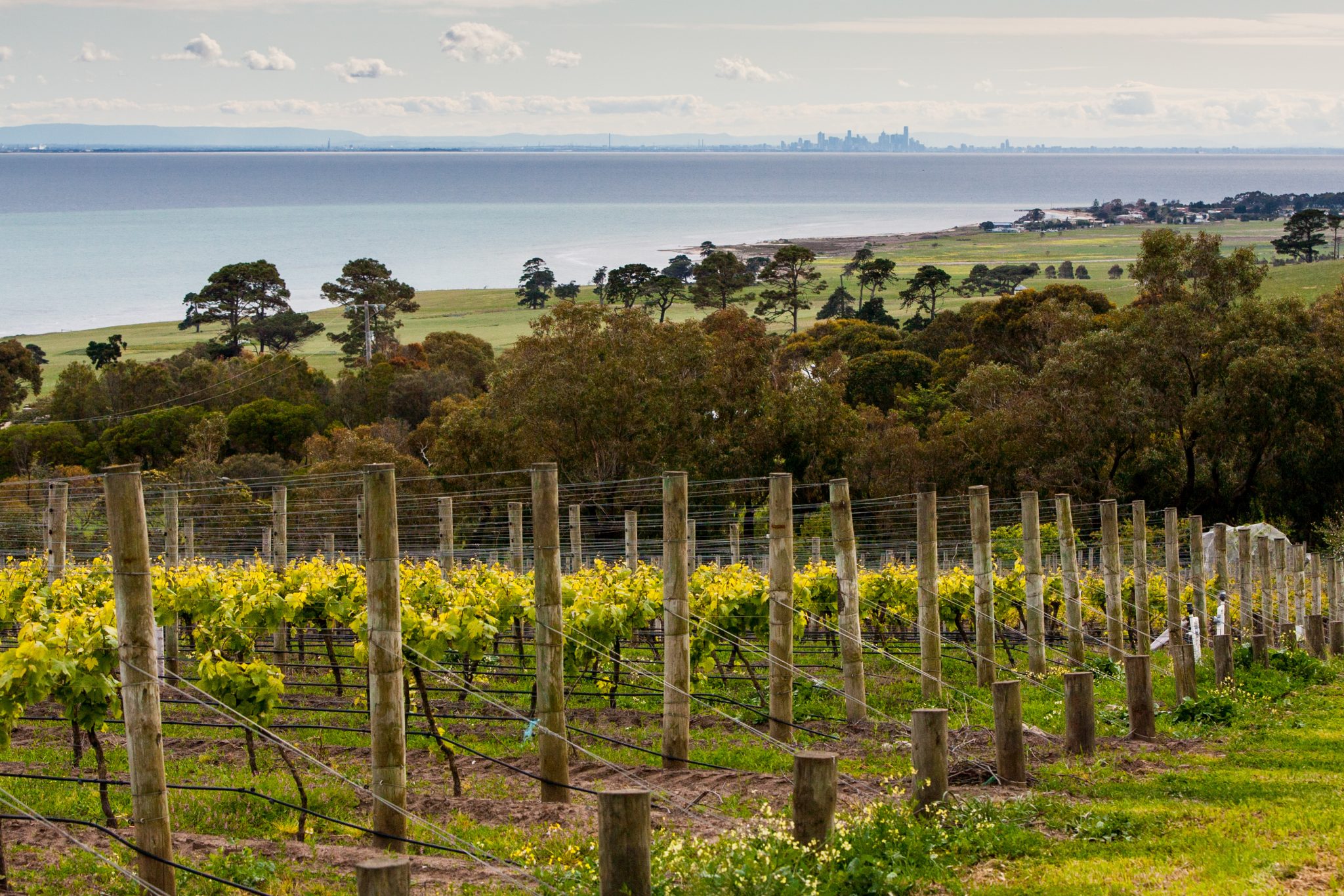 winery tours victoria